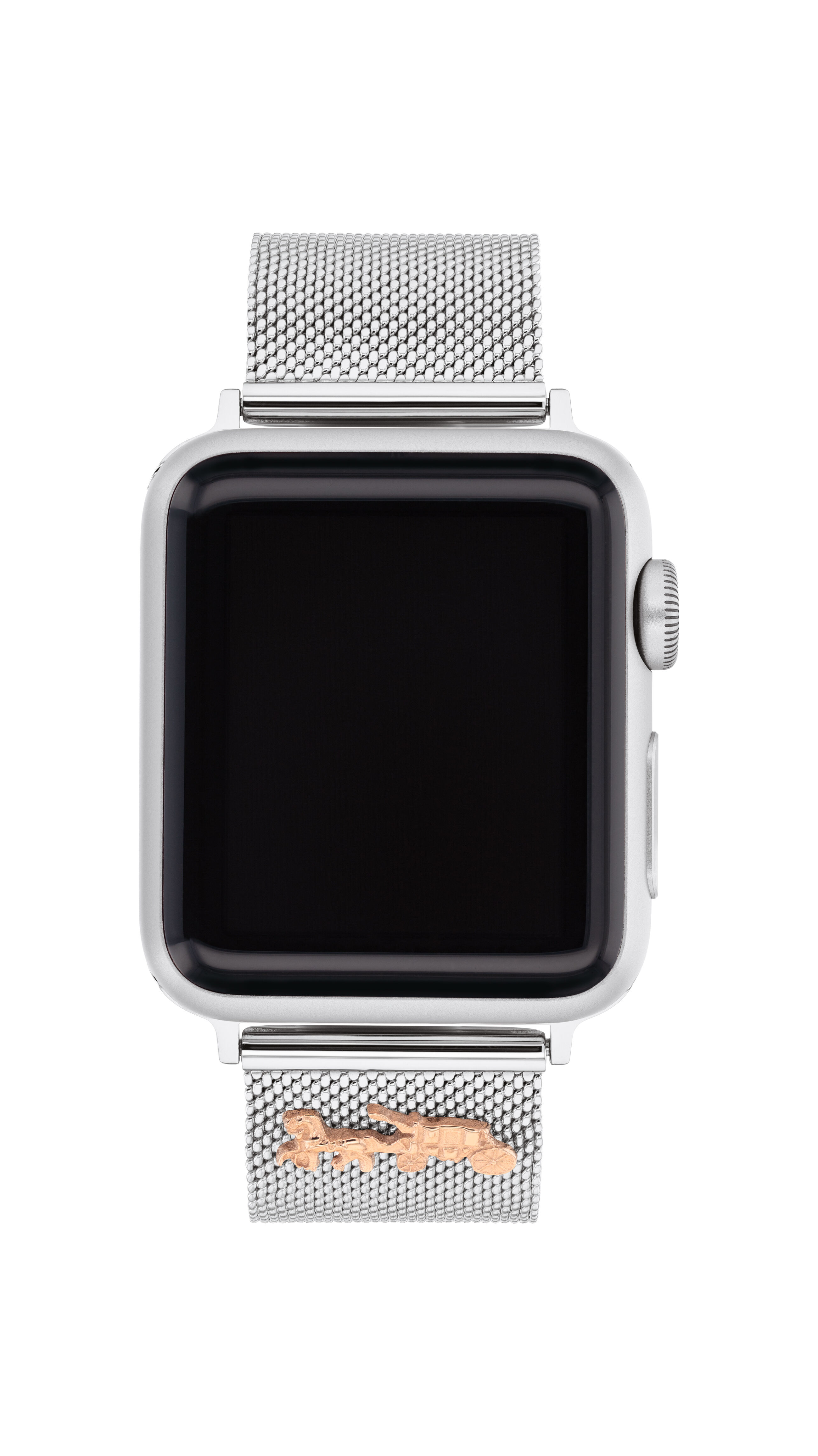 Coach Ladies' Apple Watch Strap 14700037