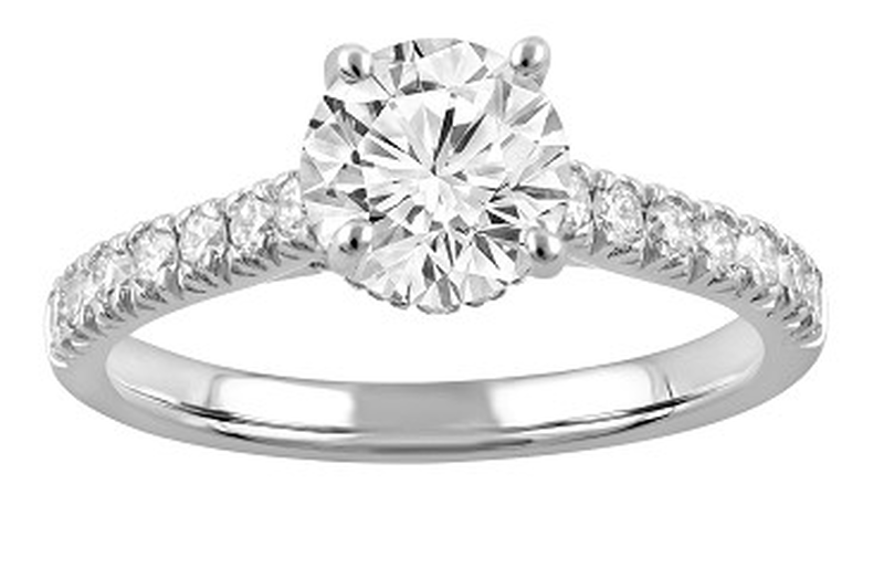 Brilliant-Cut Hidden Halo Cathedral Engagement Ring in 14k White Gold image number null